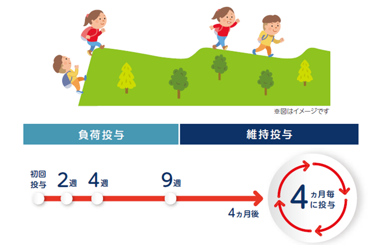 負荷投与と投与イメージ