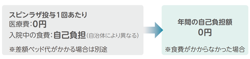 スピンラザ投与1回あたり